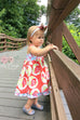 Lauren Baby Dress - Violette Field Threads
 - 18