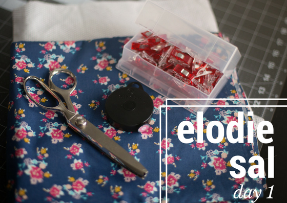 Elodie {Sew-a-Long} Day 1