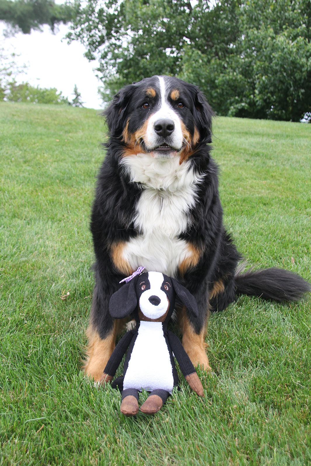 Darcy Dog 18" Stuffie Animal Pattern