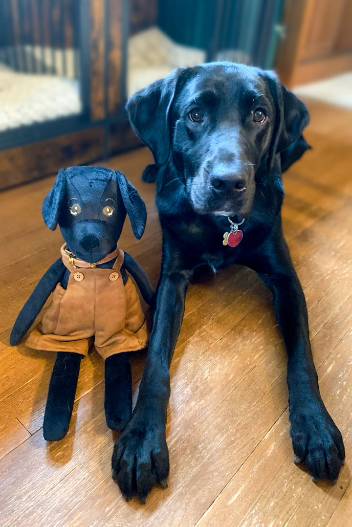 Darcy Dog 18" Stuffie Animal Pattern