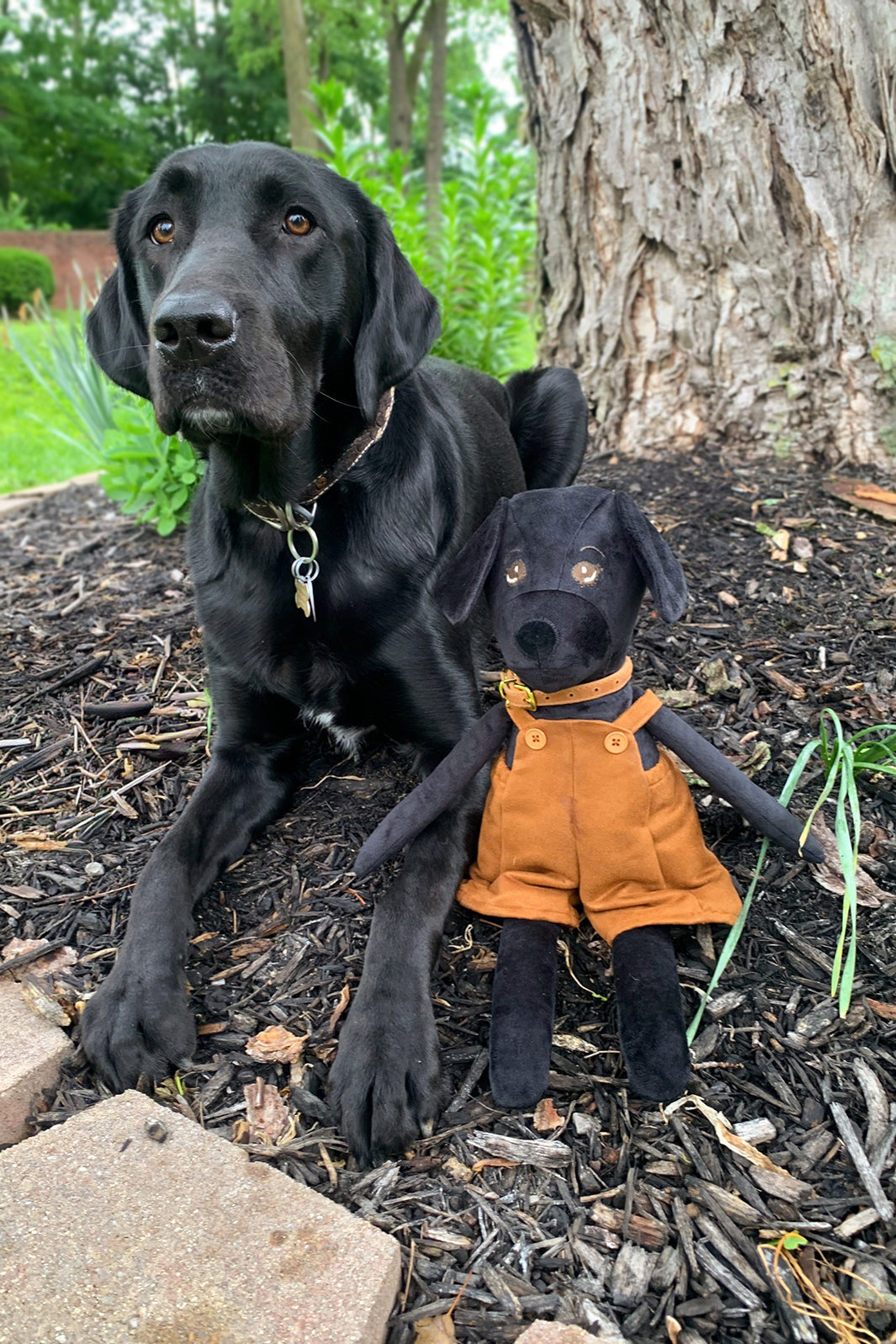 Darcy Dog 18" Stuffie Animal Pattern