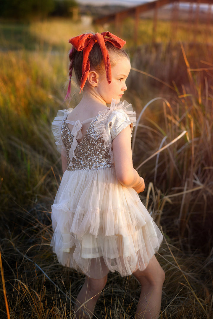 Pixie Girls Top & Dress