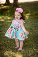 Lauren Baby Dress - Violette Field Threads
 - 4