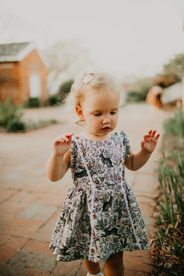 Abigail Baby Dress – Violette Field Threads
