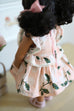 Goldie Doll Dress