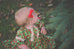 Matilda Dress Baby - Violette Field Threads
 - 23