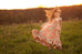 Emmaline Dress - Violette Field Threads
 - 27